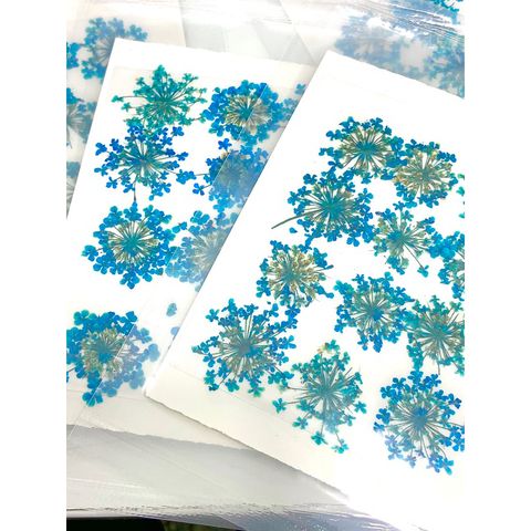 tw-11134207-7r98z-ls4j1p8cizma44