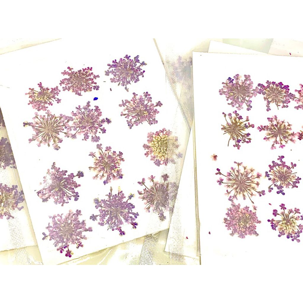 tw-11134207-7r98u-ls4ja1ix31fs04