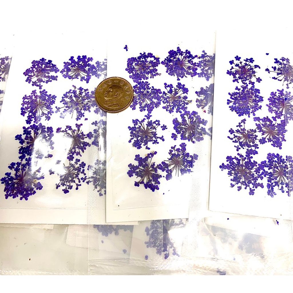 tw-11134207-7r98p-ls4j2diwz5xu02