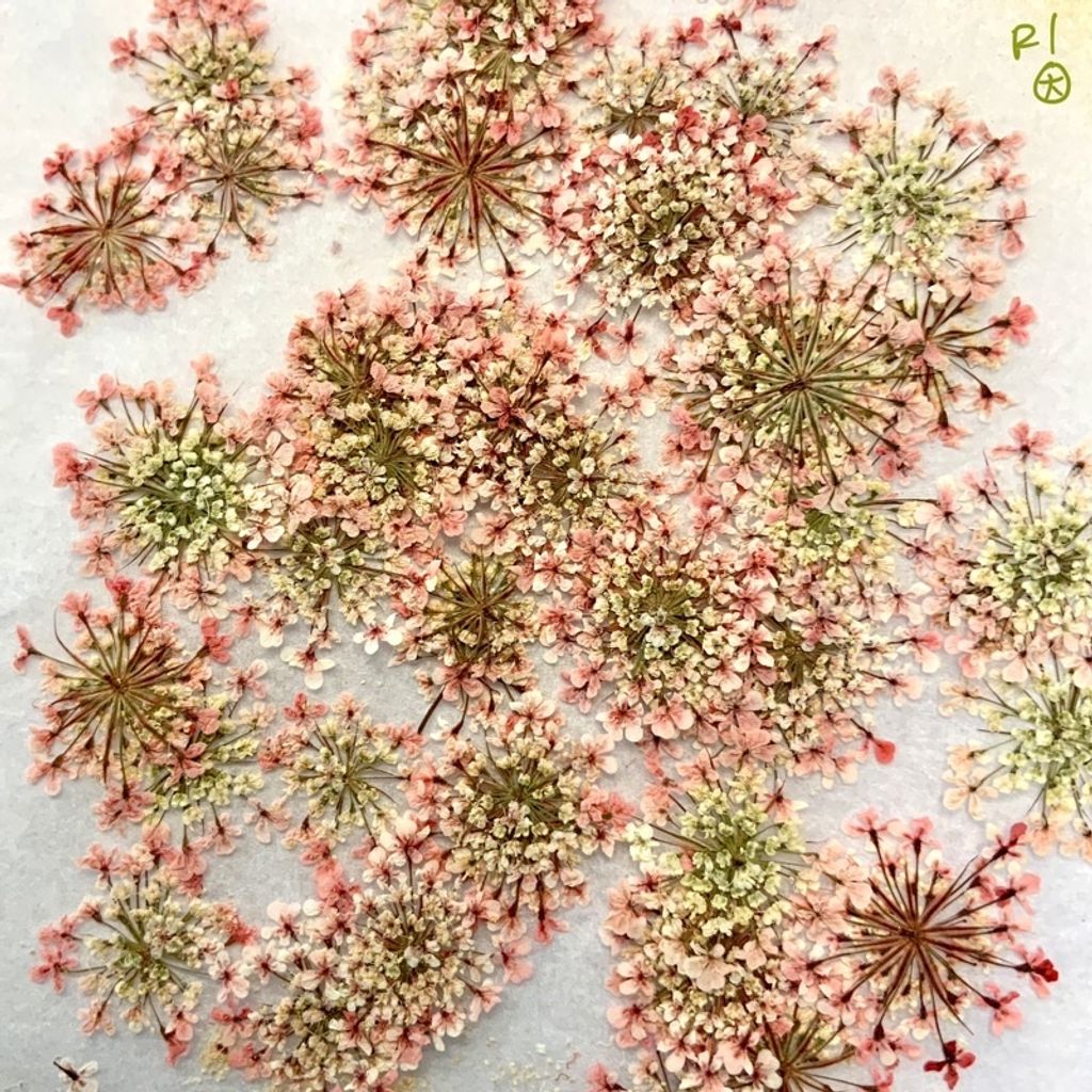 tw-11134201-23030-7tkh1l0nlkov0a