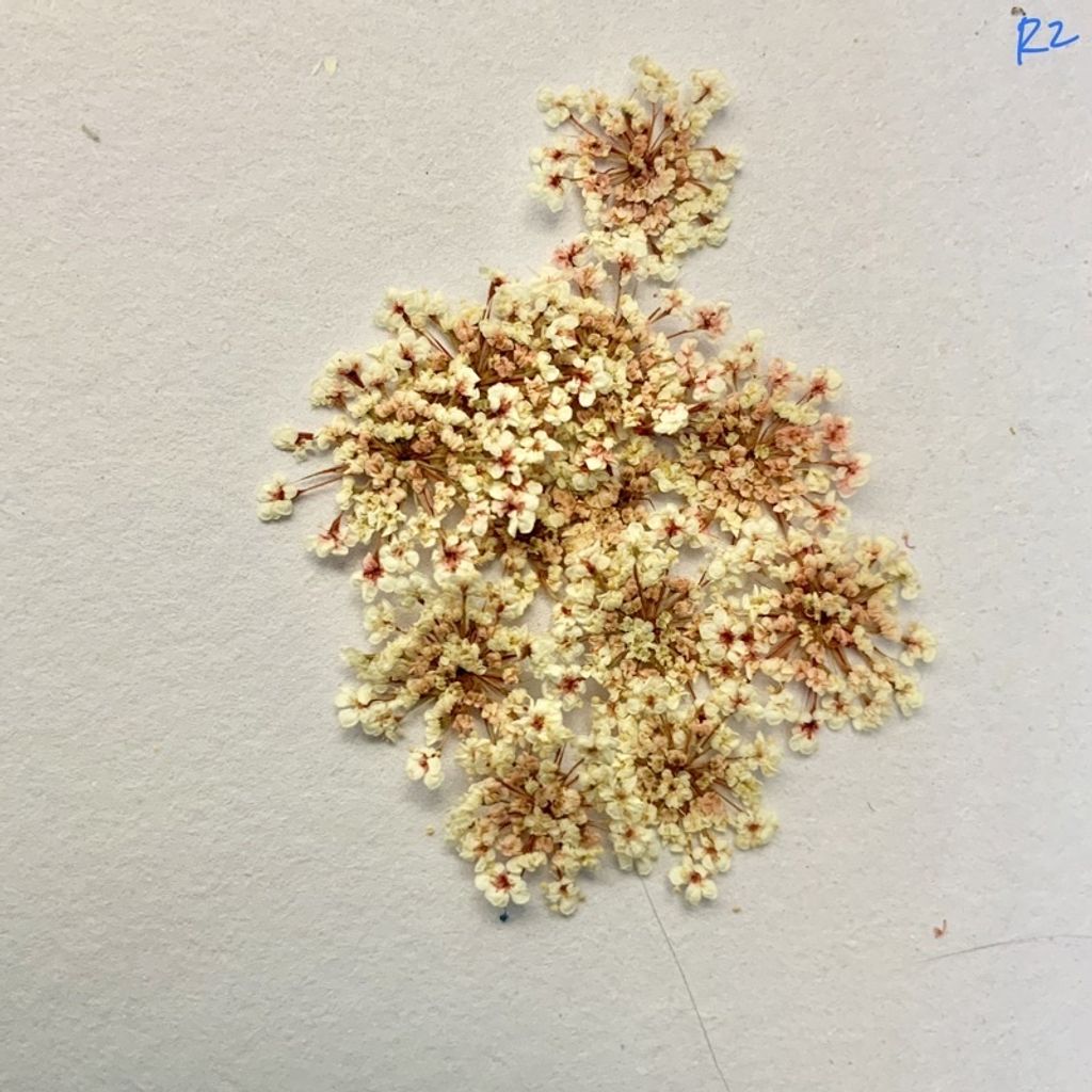 tw-11134201-23030-usnhdftolkov9e