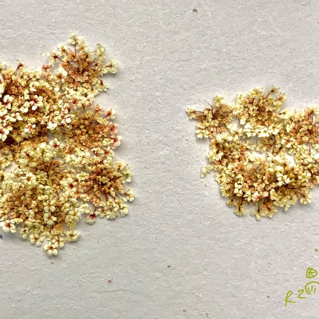 tw-11134201-23030-vqdsvuwplkov07