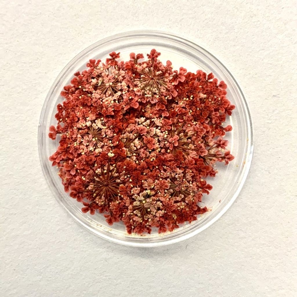 tw-11134201-23030-q2z6dqfqlkov01