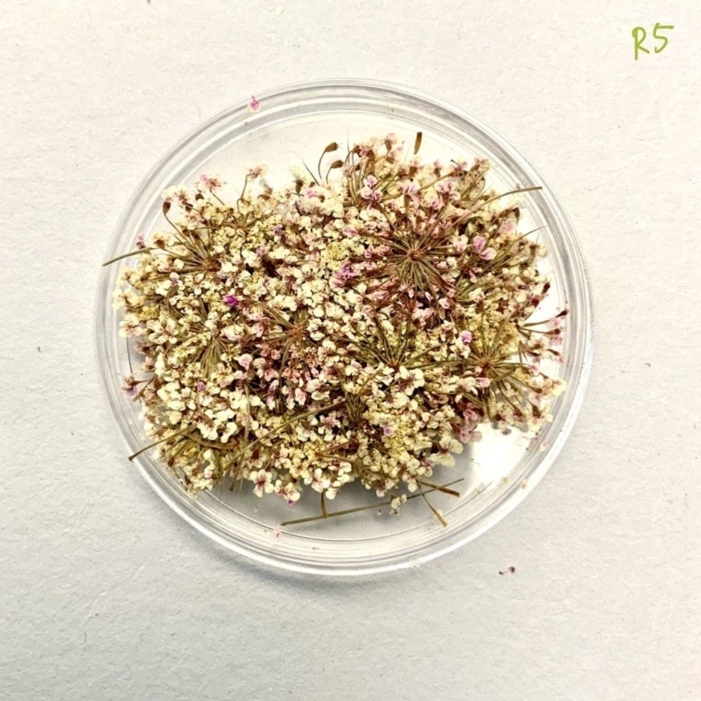 tw-11134201-23030-4k3tjsmqlkov8b