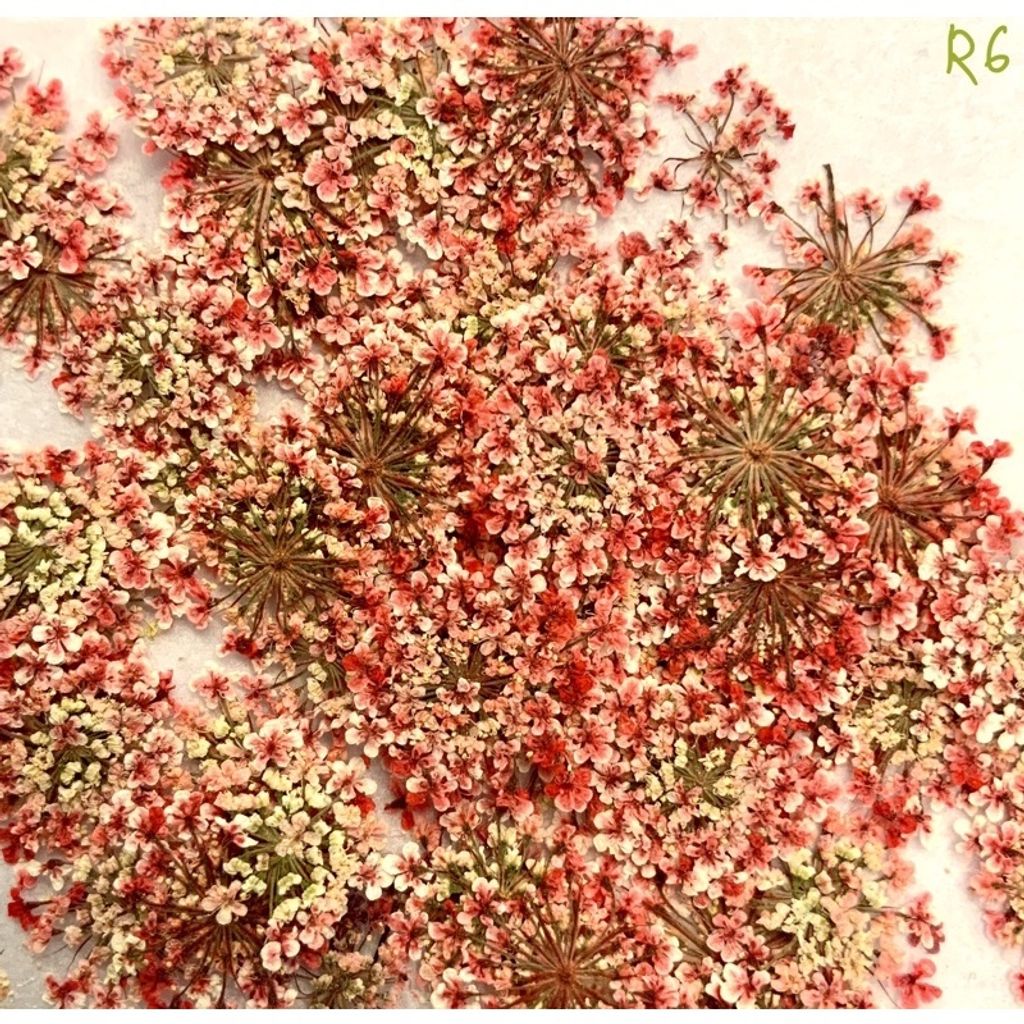 tw-11134201-23030-uog6fi8slkov22