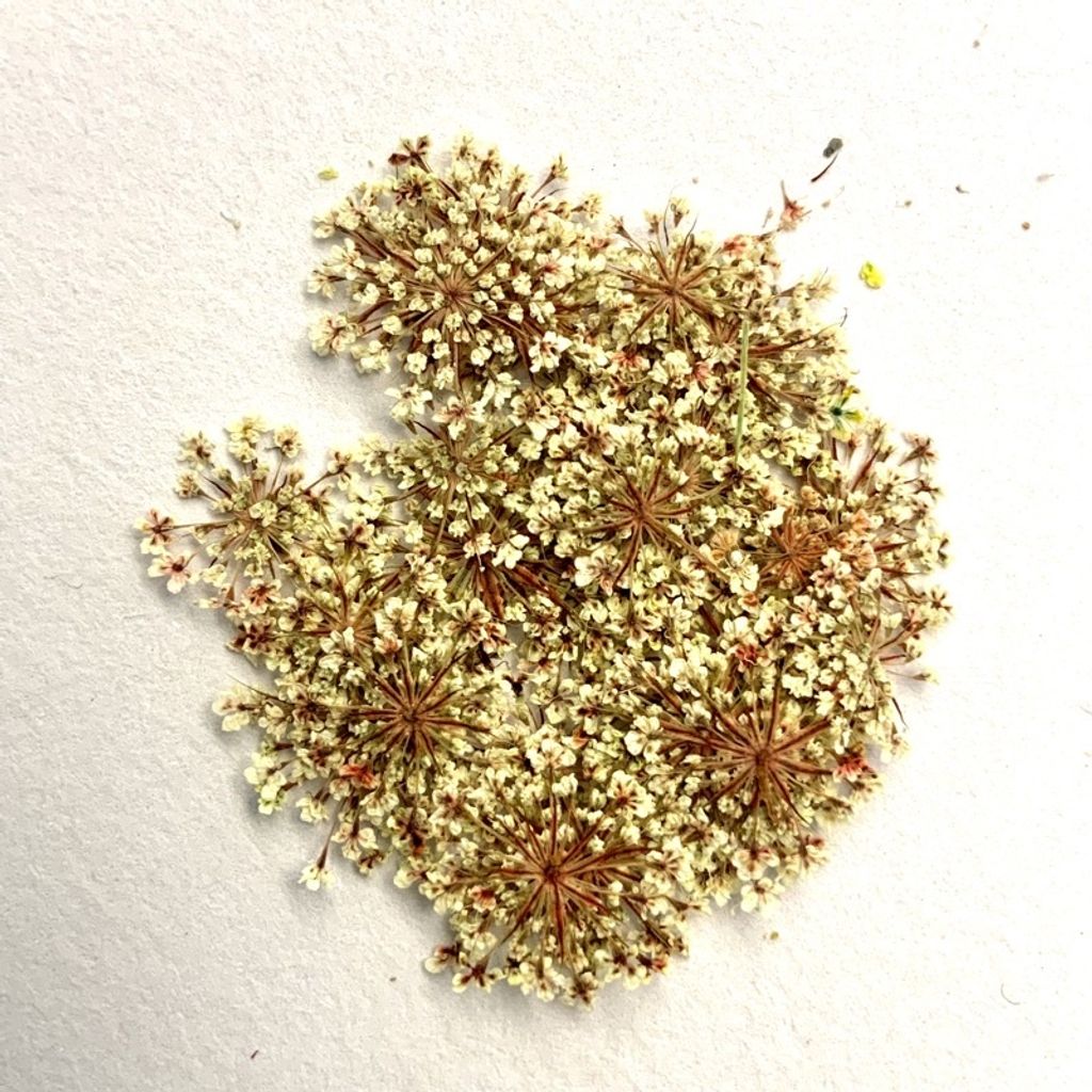 tw-11134201-23030-ad3ytaltlkovd5