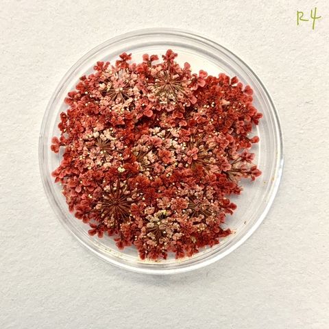 tw-11134201-23030-bnl94lbnlkov0b