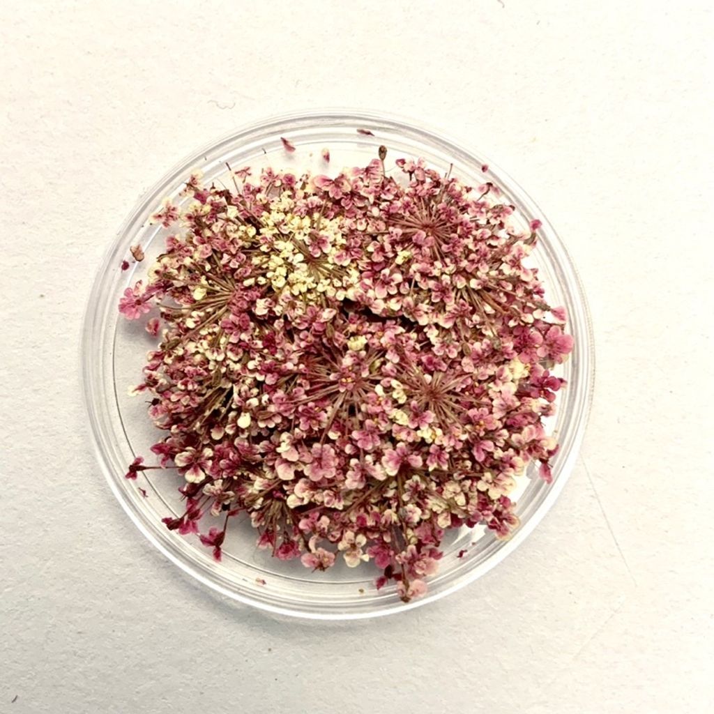 tw-11134201-23030-bv8m5bbnlkov47