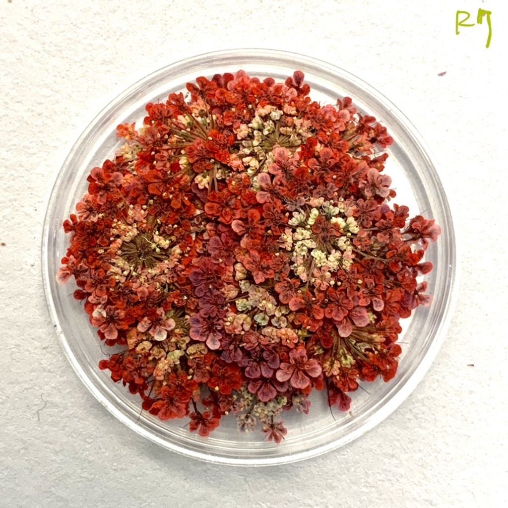 tw-11134201-23030-q6ewfubnlkov54