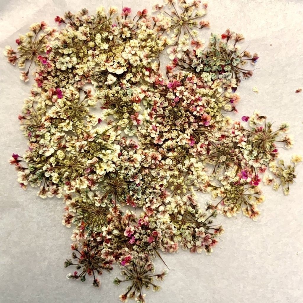 tw-11134201-23030-33kg05bnlkovef