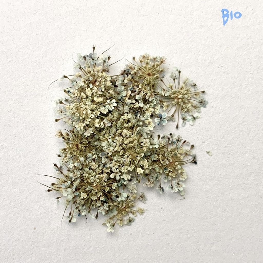 tw-11134201-23030-yzvnao1t4iov33