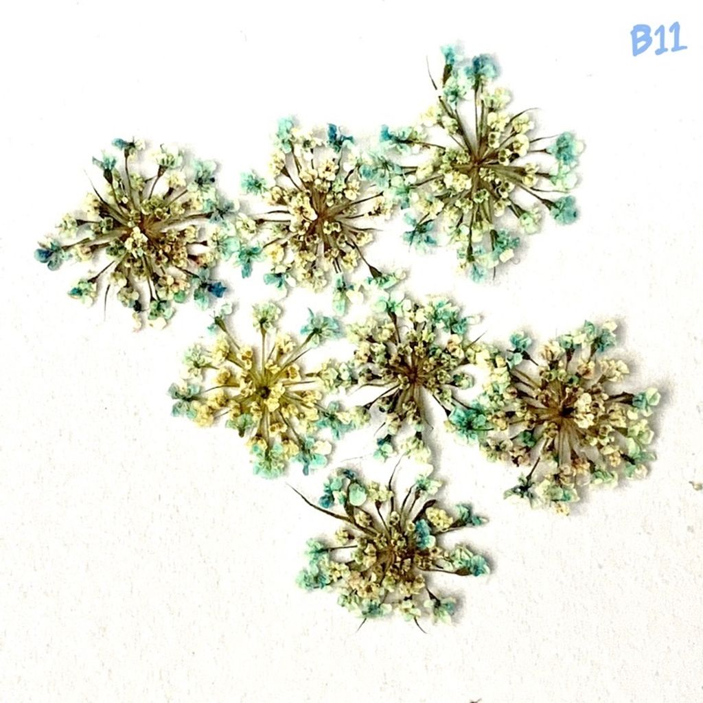 tw-11134201-23030-qt2xmm9t4iov60