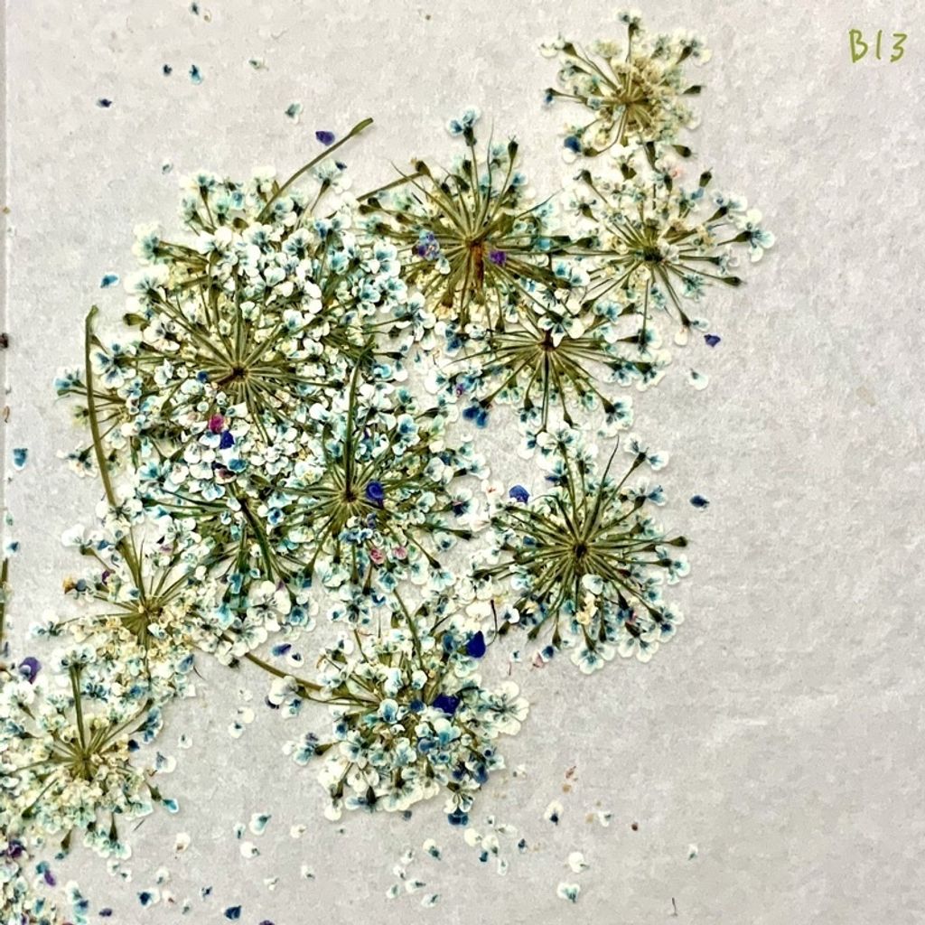 tw-11134201-23030-rbzf89xu4iov5f