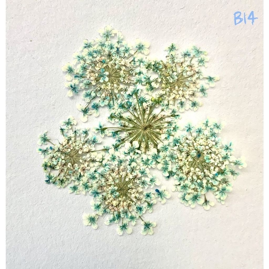 tw-11134201-23030-f7ii3p6u4iovcd