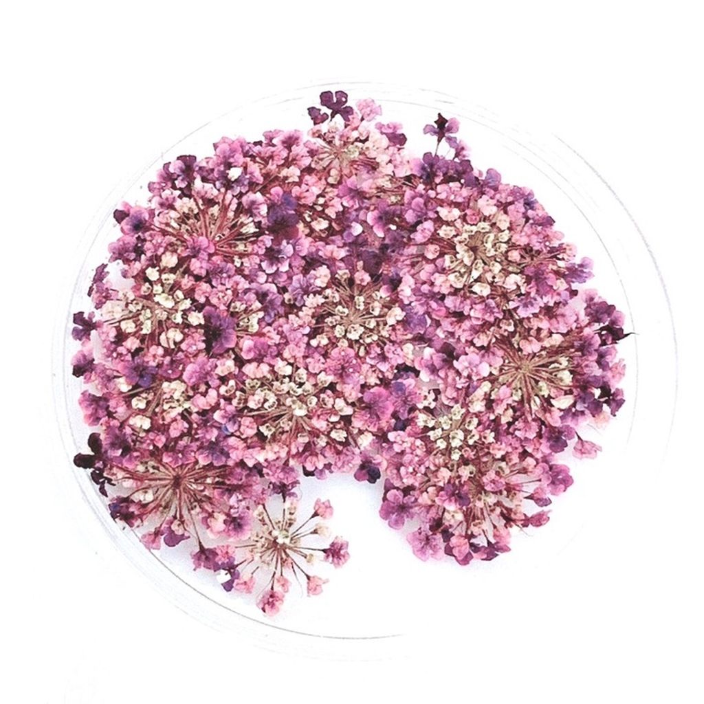 tw-11134201-23030-fy1ikfvaiiov37