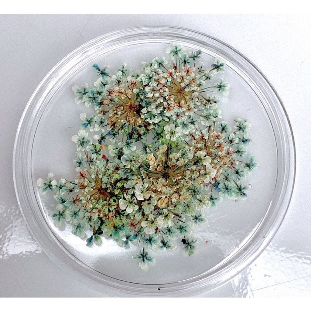 tw-11134201-23020-9g7dg695g1nv79