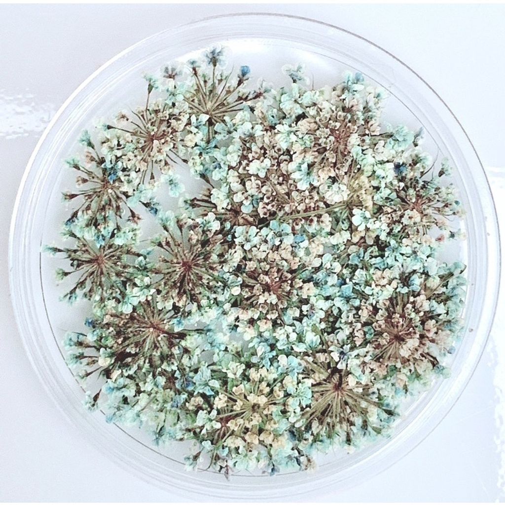 tw-11134201-23030-u55qtbxaiiov53