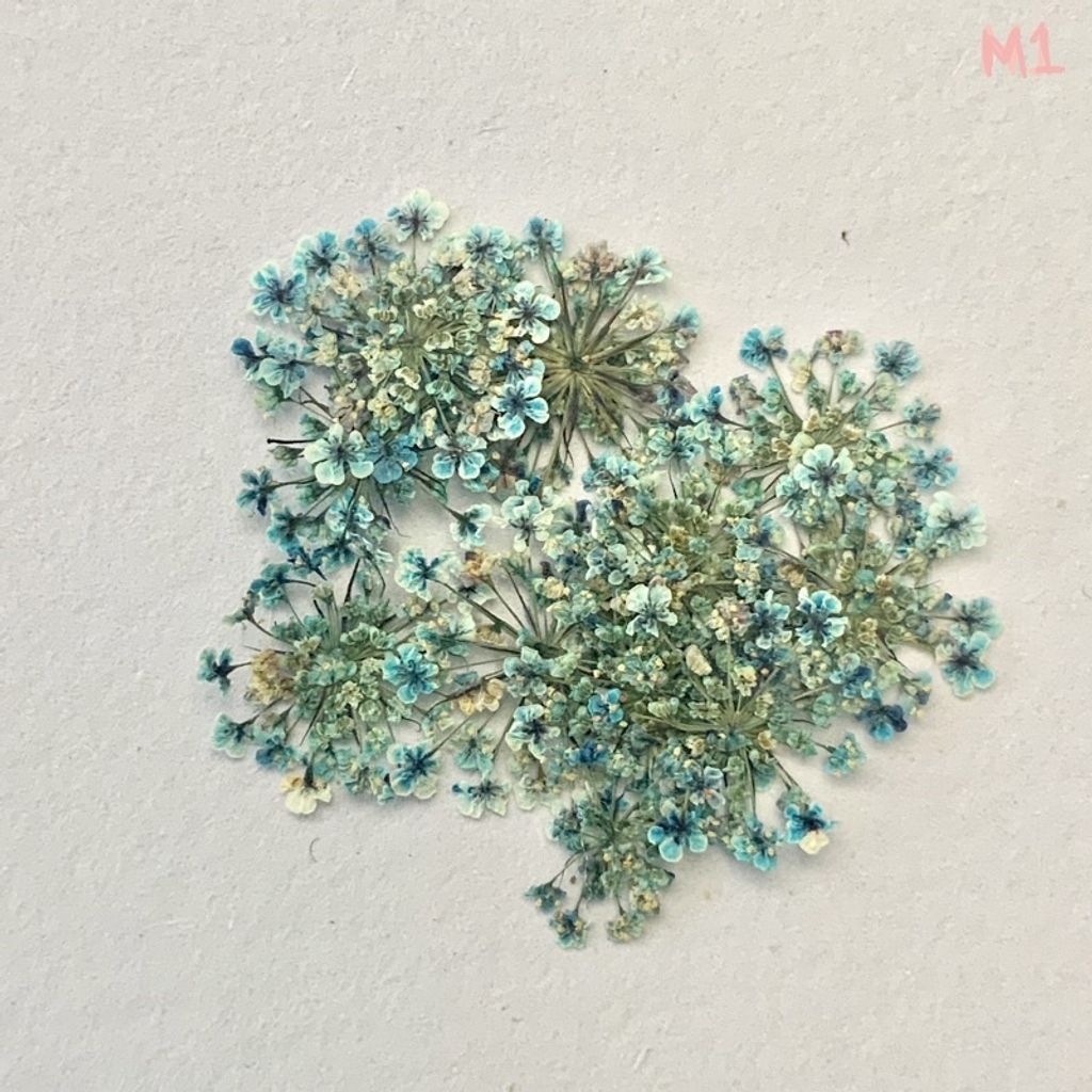 tw-11134201-23030-vuc75fc74iov10