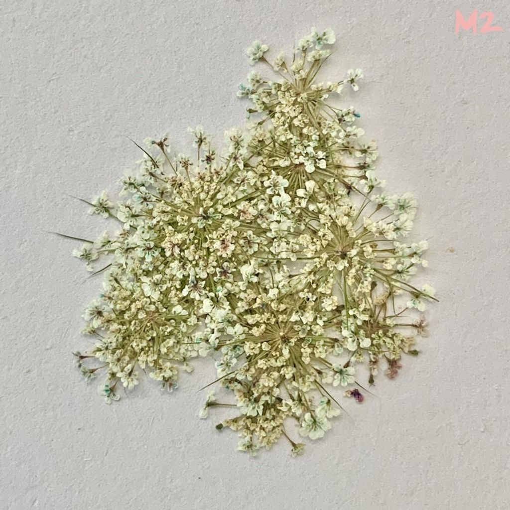 tw-11134201-23030-yj4miur74iov3a