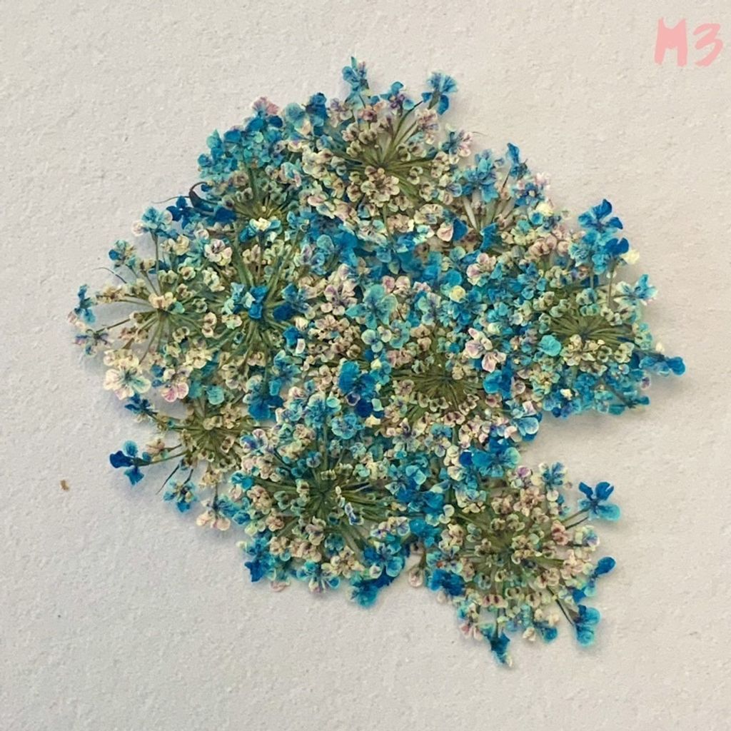 tw-11134201-23030-u1l6gf374iovd3