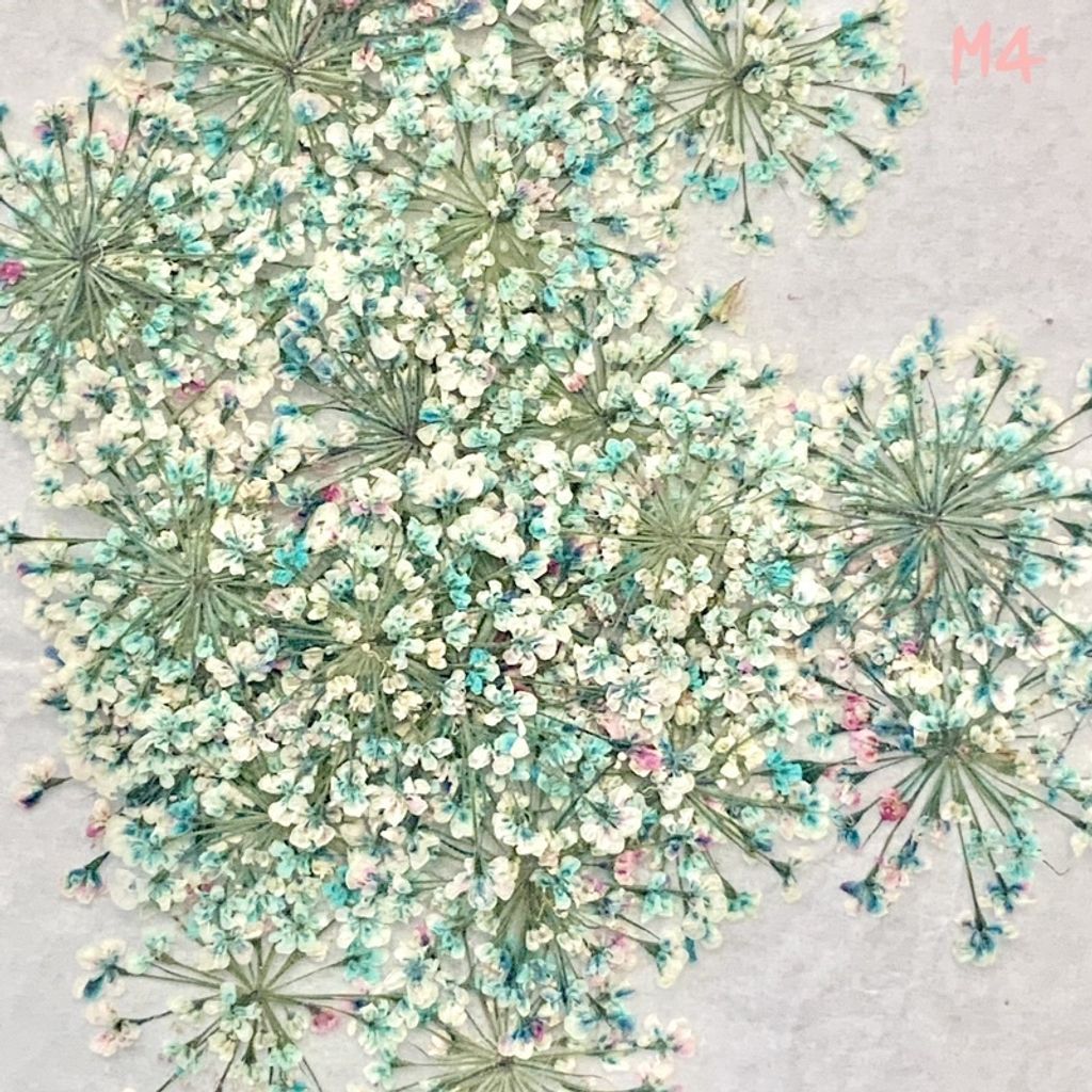 tw-11134201-23030-izccv5974iovb7