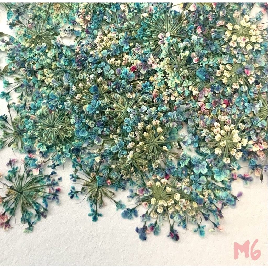 tw-11134201-23030-q00azkp84iovdc