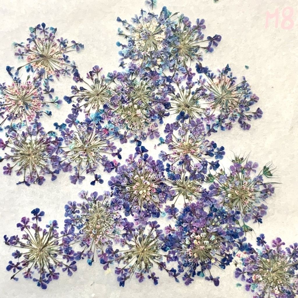 tw-11134201-23030-zpnyvkz94iova4