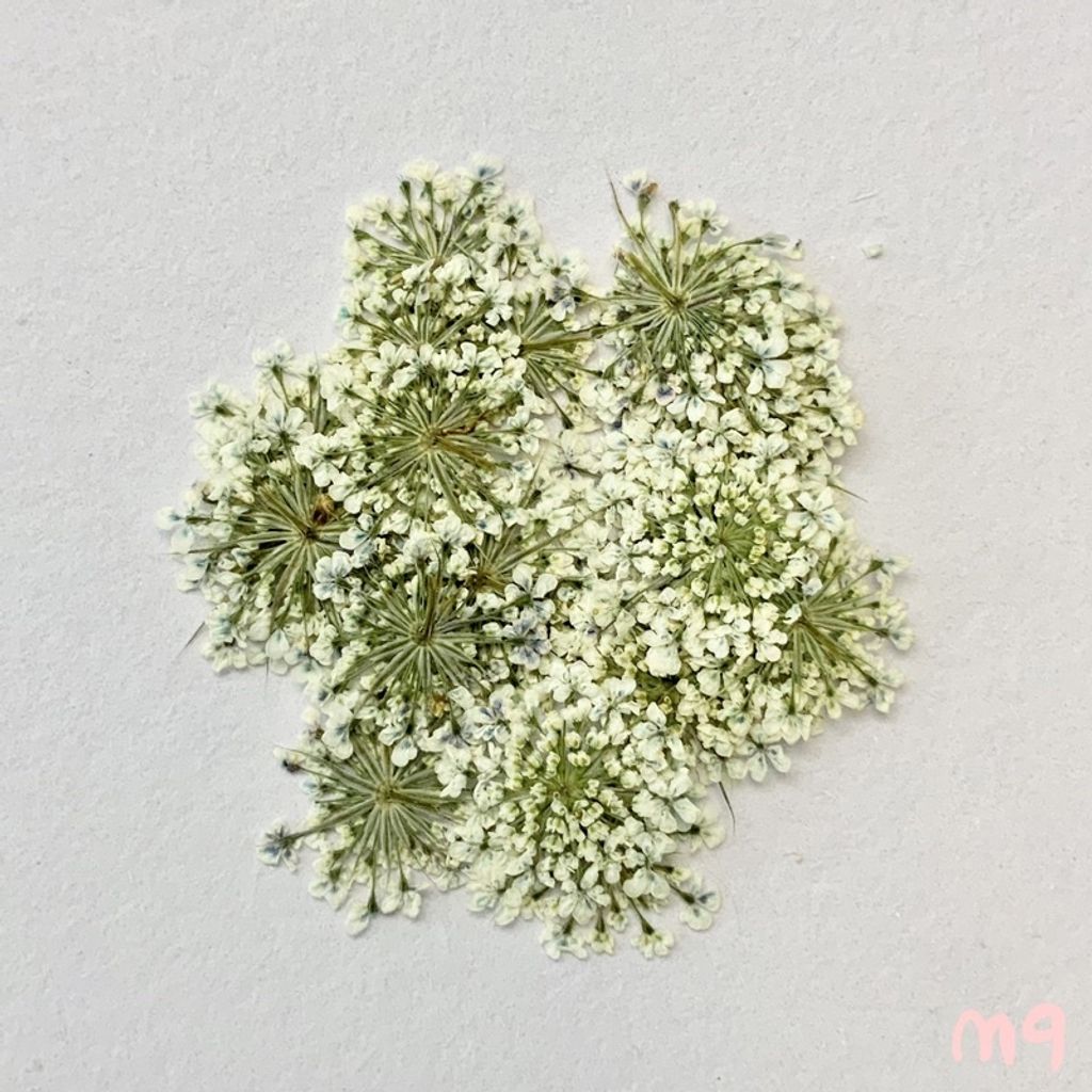 tw-11134201-23030-z0aakg904iova0