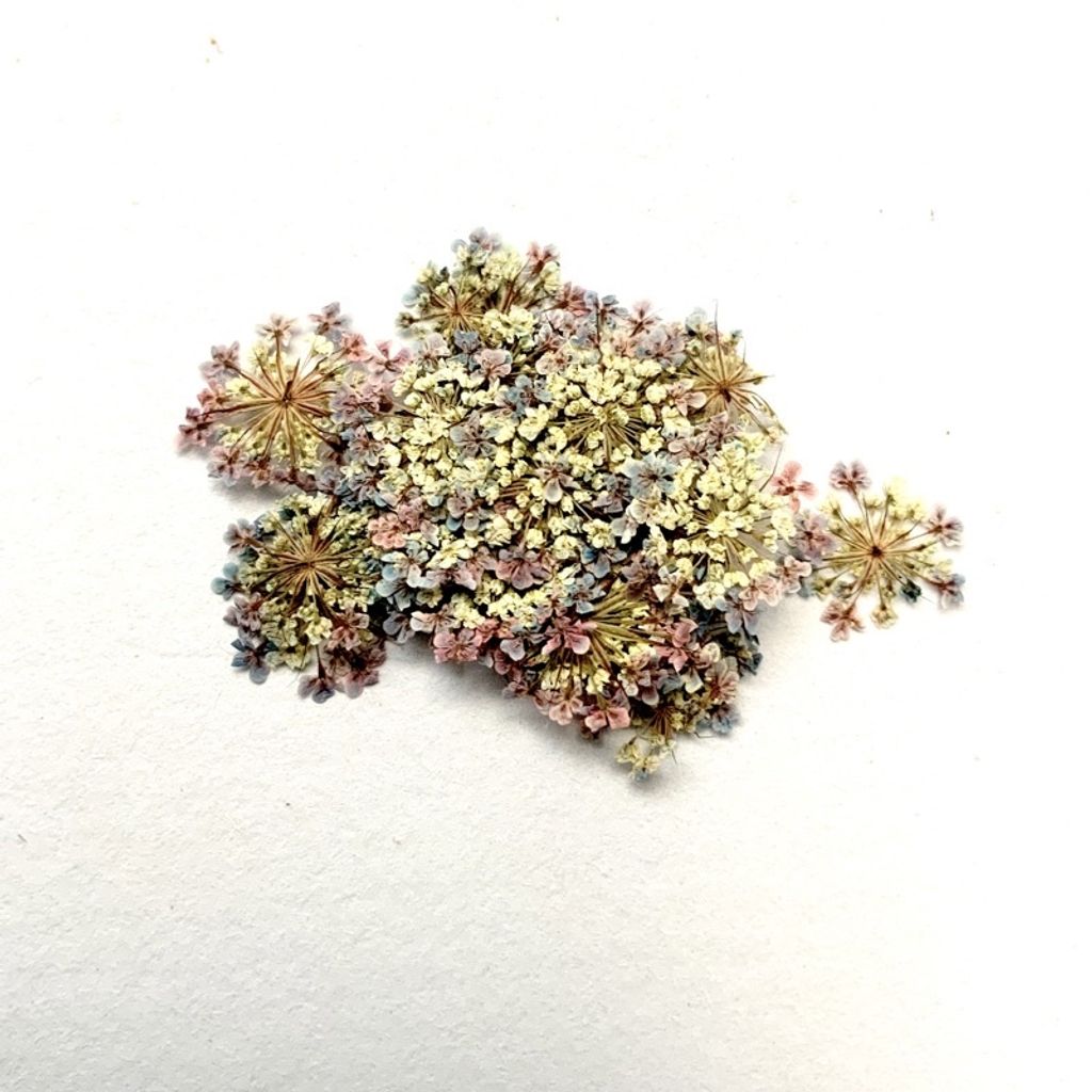 tw-11134201-23030-vyvrl8tb5iov93