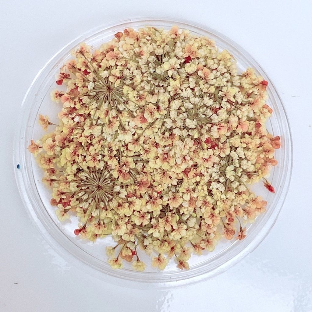 tw-11134201-23020-i4b172f2g1nv8c