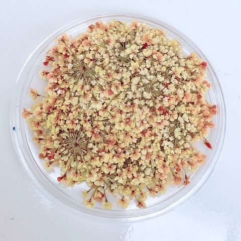 tw-11134201-23020-i4b172f2g1nv8c