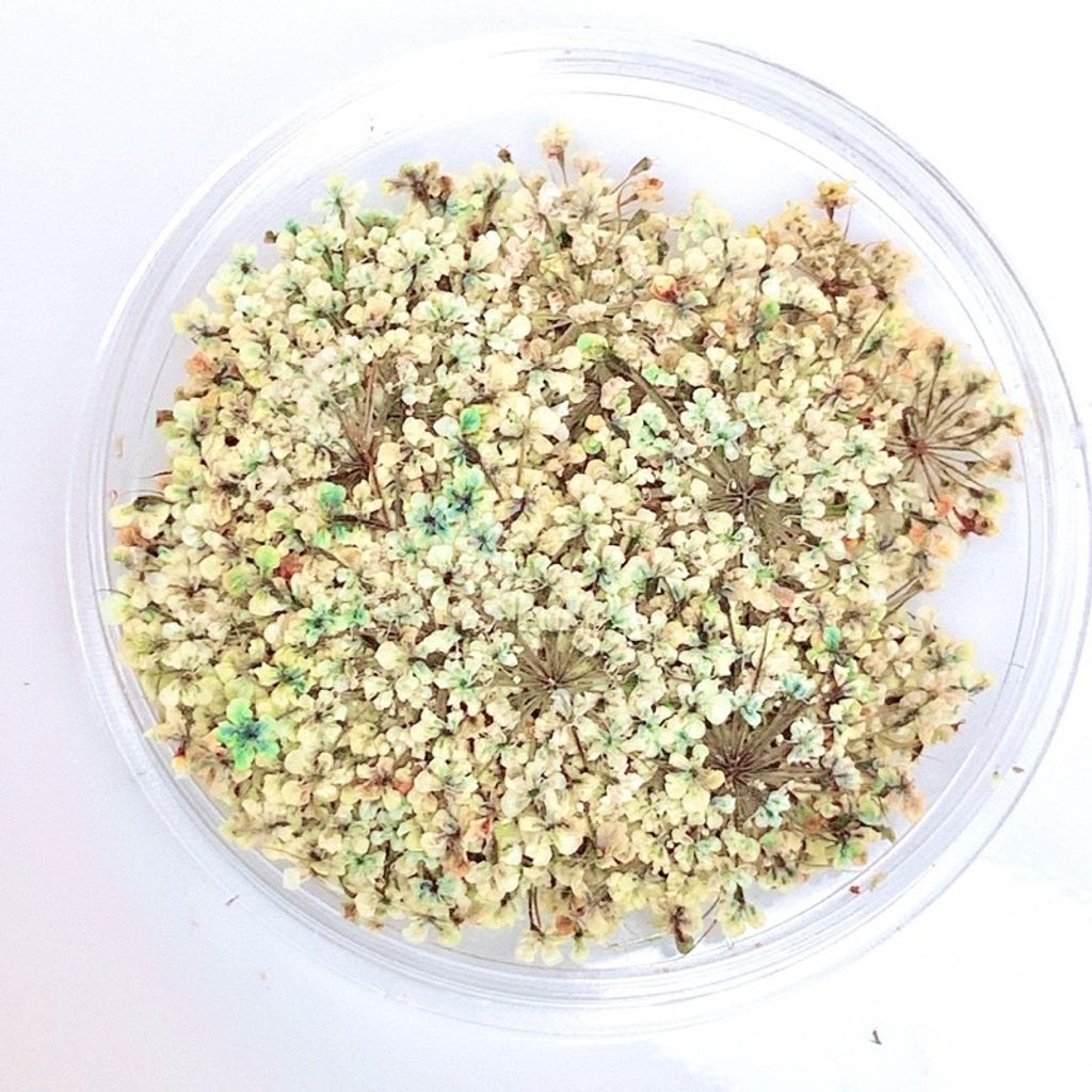 tw-11134201-23020-gfi17p95g1nv72