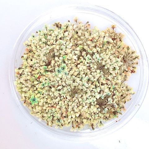 tw-11134201-23020-gfi17p95g1nv72