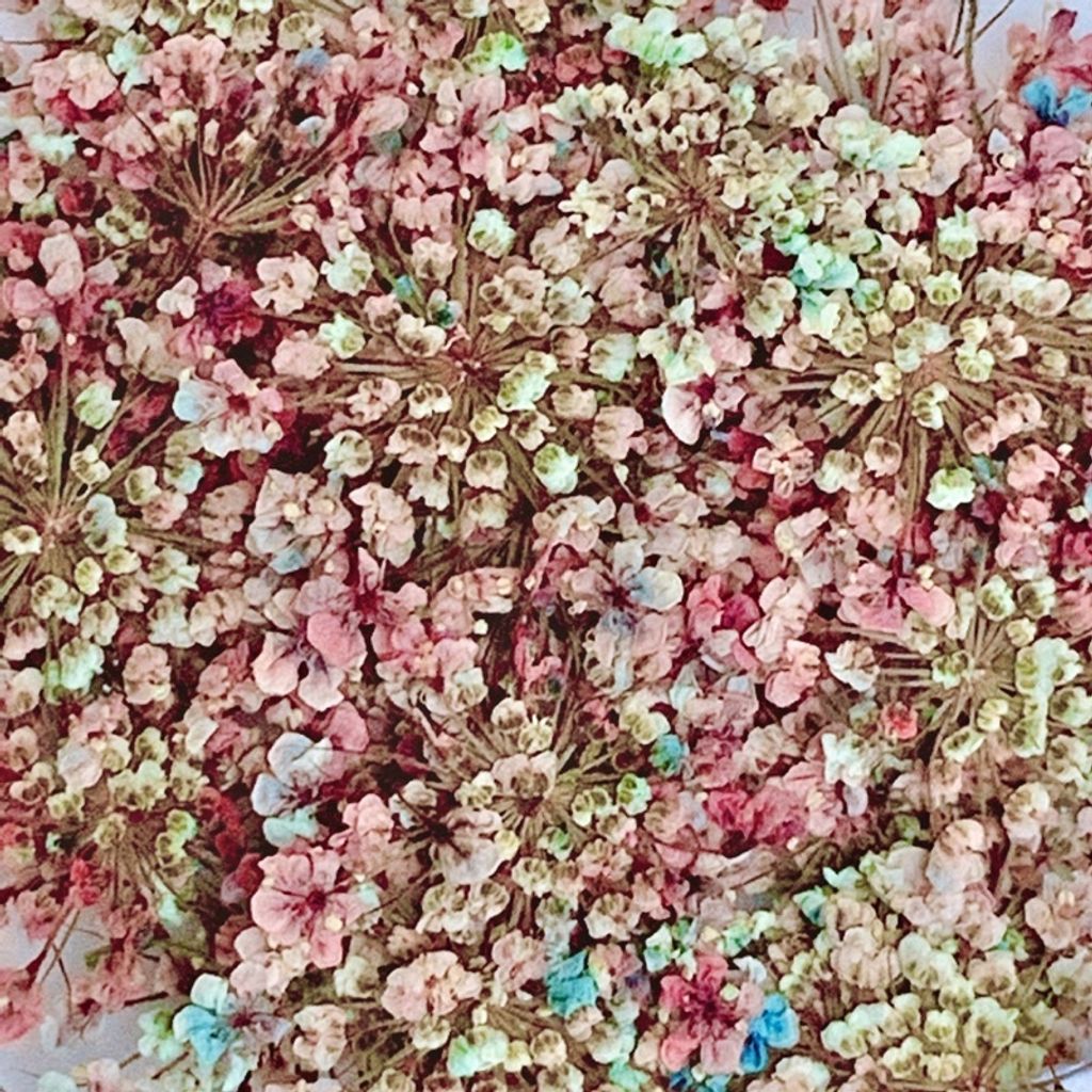 tw-11134201-23020-gbv8pa05g1nvf4