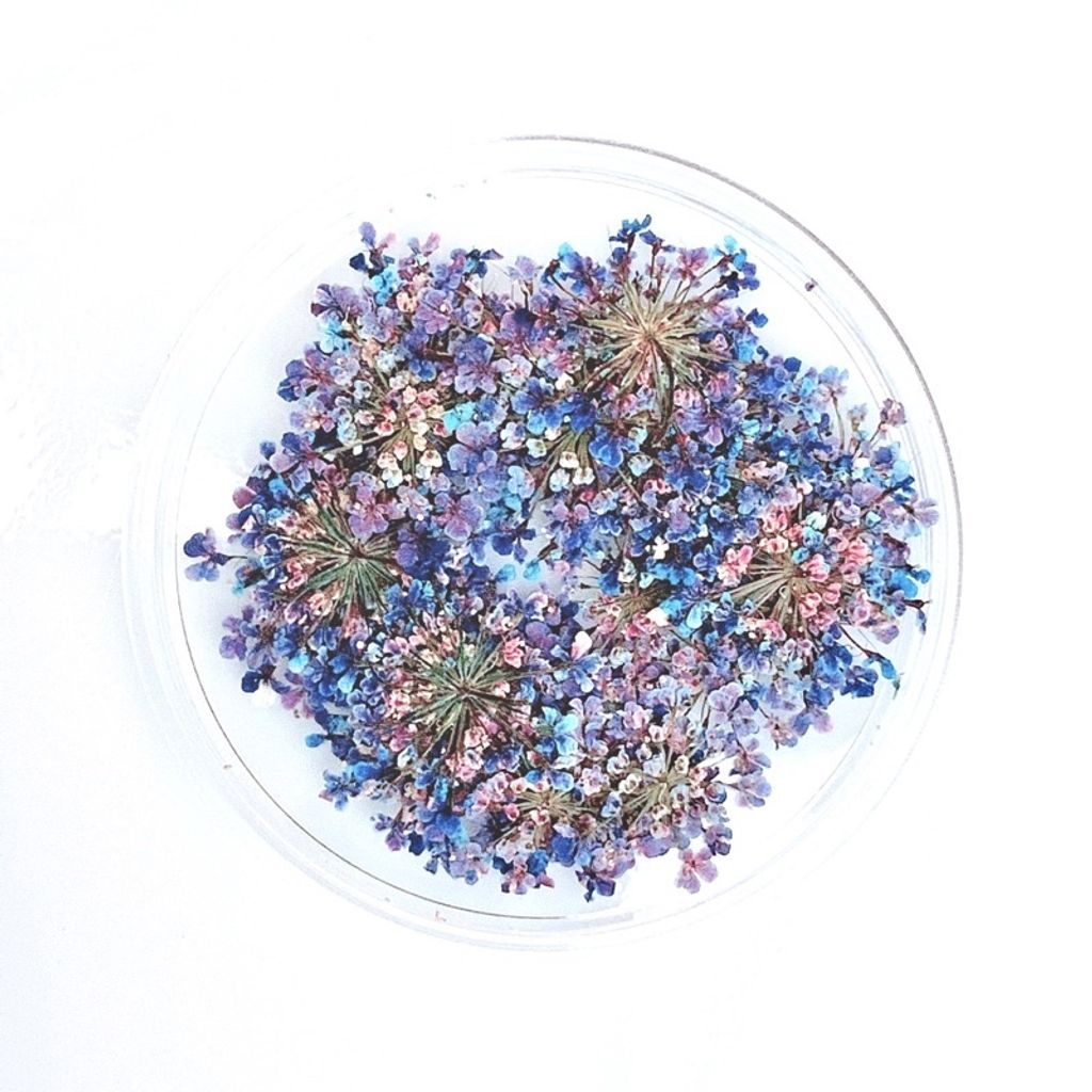 tw-11134201-23020-g4gnmsvjtznv1b