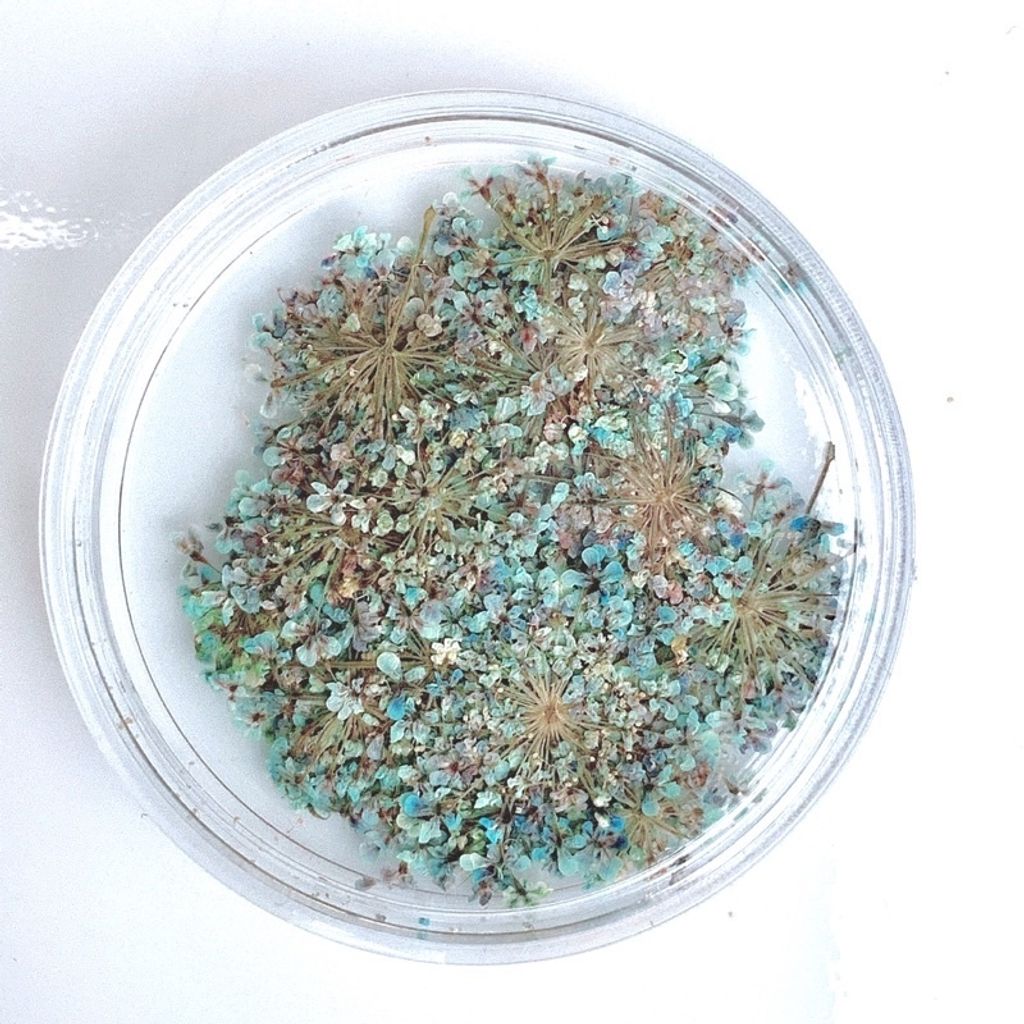 tw-11134201-23020-5hgju295g1nv96