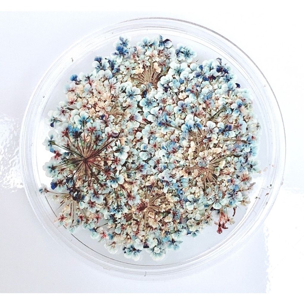 tw-11134201-23030-a2c860frqhov72