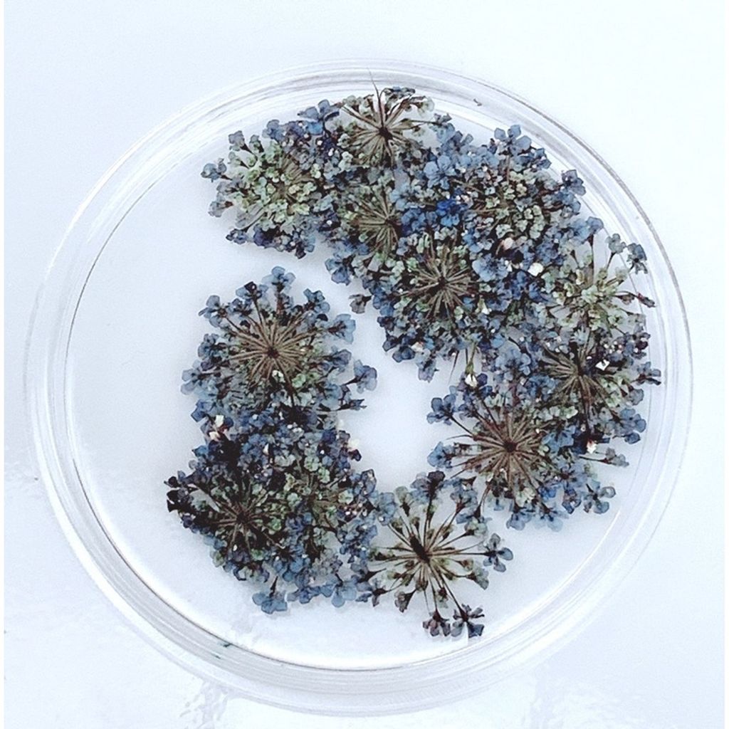 tw-11134201-23030-zl5owevtqhov37