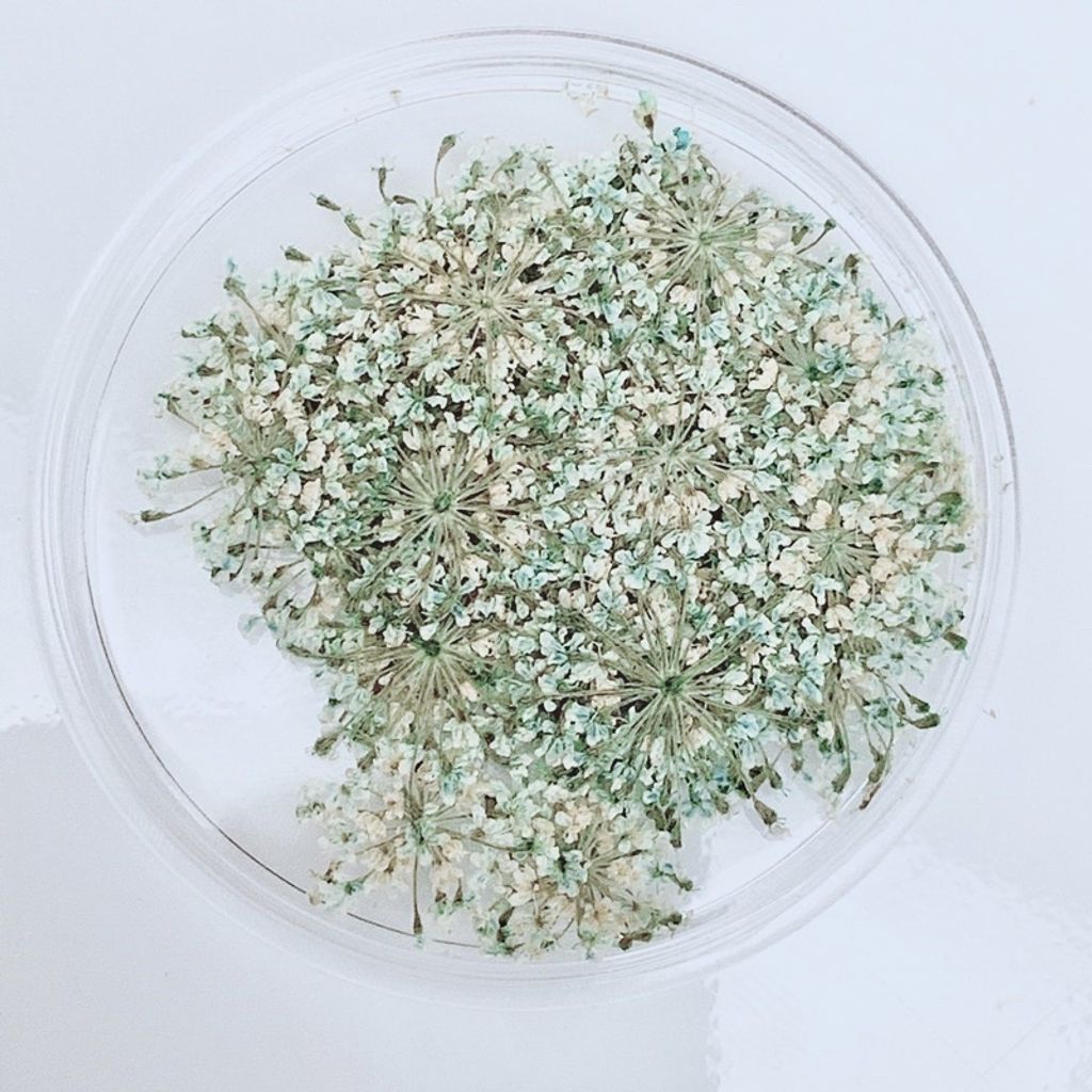 tw-11134201-23030-vmipxouwqhov15