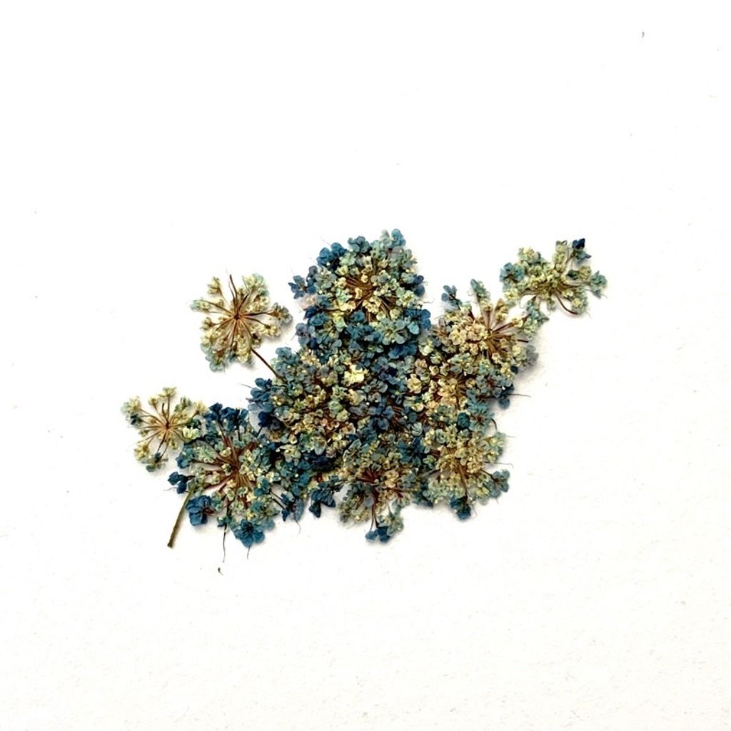 tw-11134201-23030-q0lg49q1hiovcd