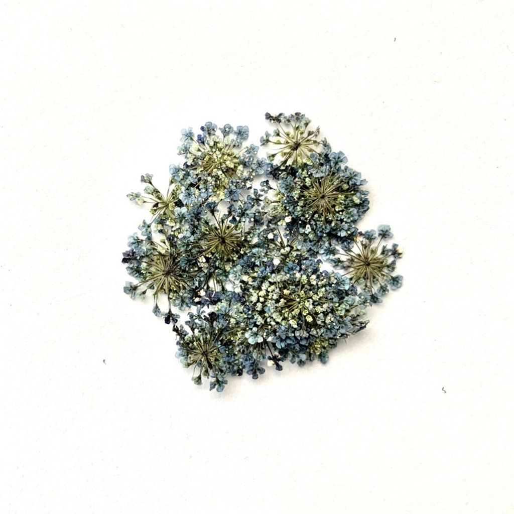 tw-11134201-23030-qpq3jl4zhiove6