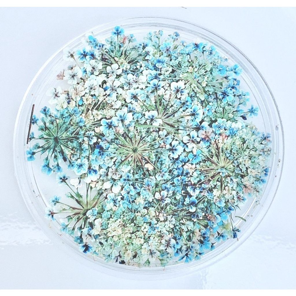 tw-11134201-23020-gz2s6033h1nvd0