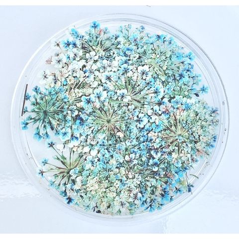 tw-11134201-23020-gz2s6033h1nvd0