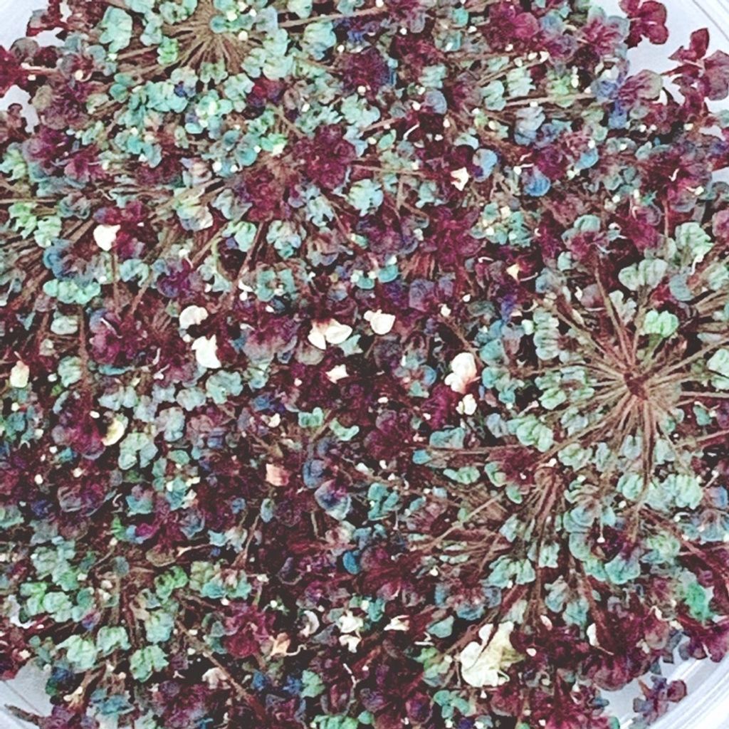 tw-11134201-23020-egvghi43h1nv65