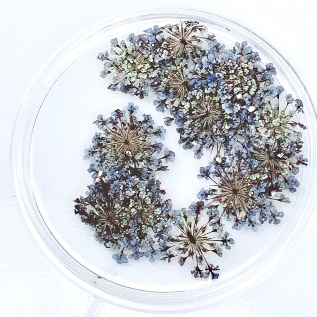 tw-11134201-23020-wjsfmu33h1nv21