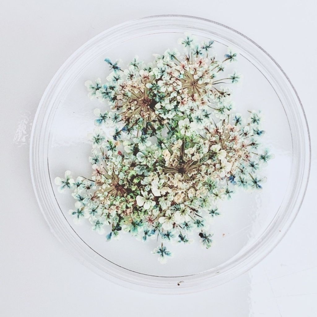 tw-11134201-23020-w8qq5m33h1nv4e