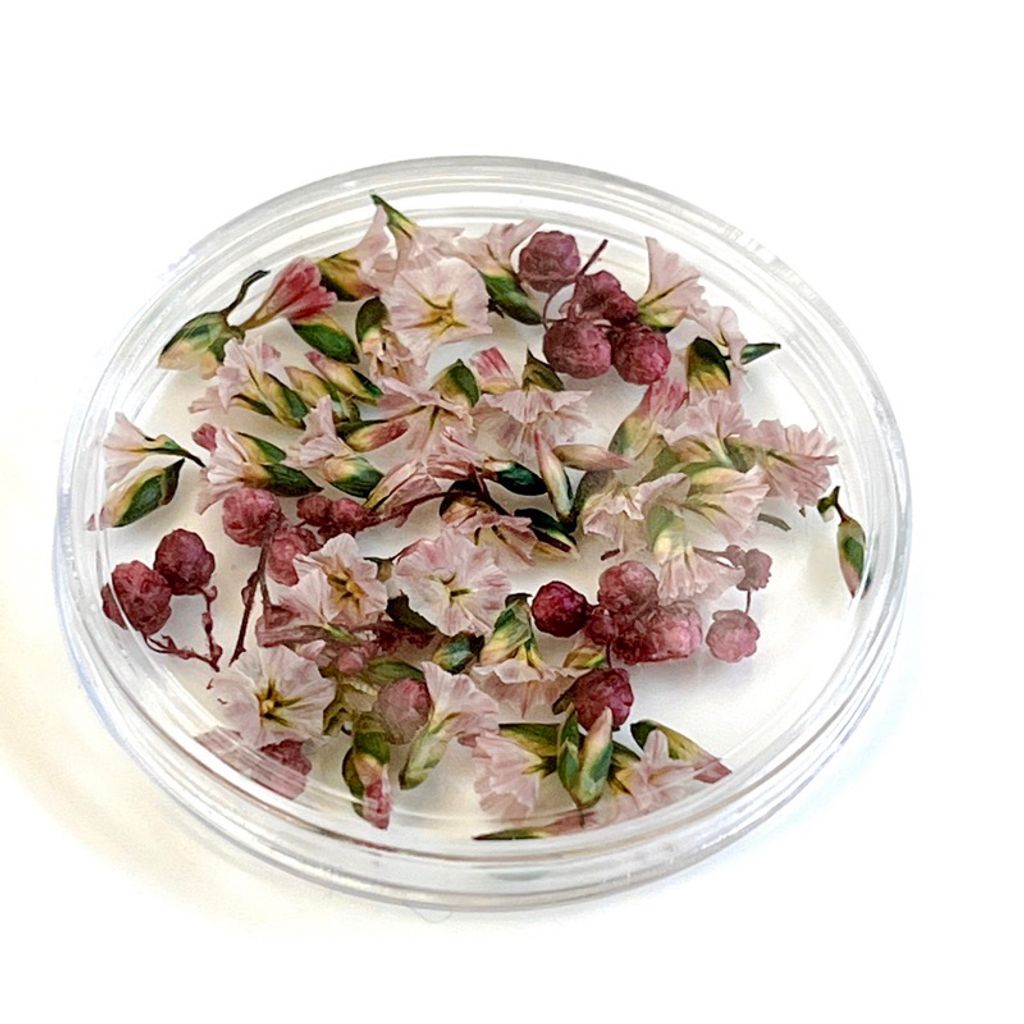 tw-11134207-7qul5-lgvpnvv25wrwed