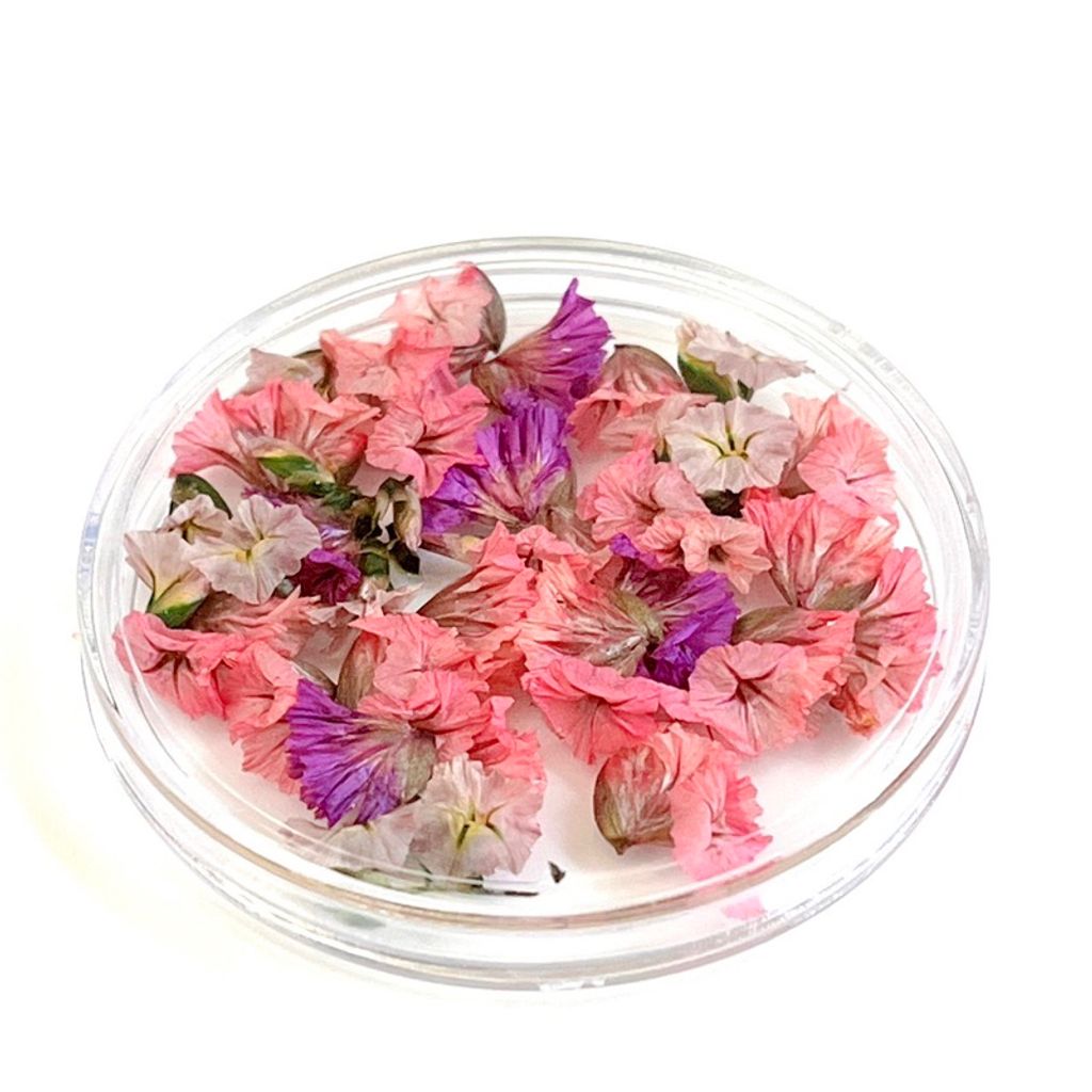 tw-11134207-7qul0-lgvpnvus6be411