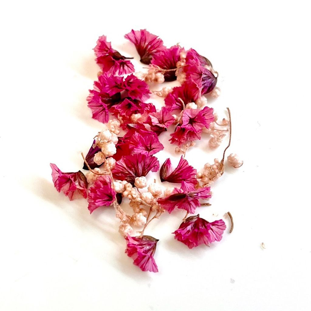 tw-11134207-7qul5-lgvpnvus4wto8f