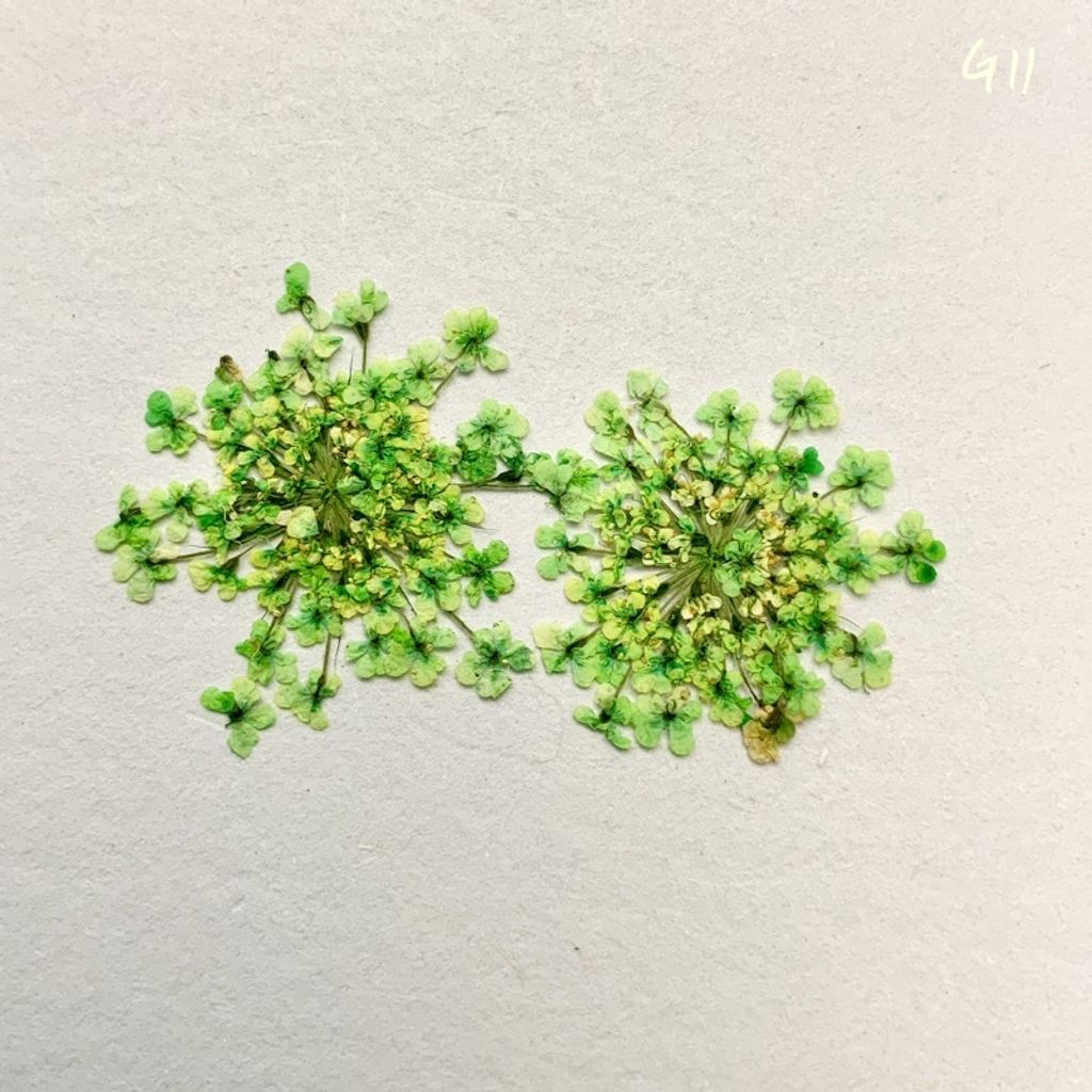 tw-11134201-23030-vuw2y8ojlkovaa